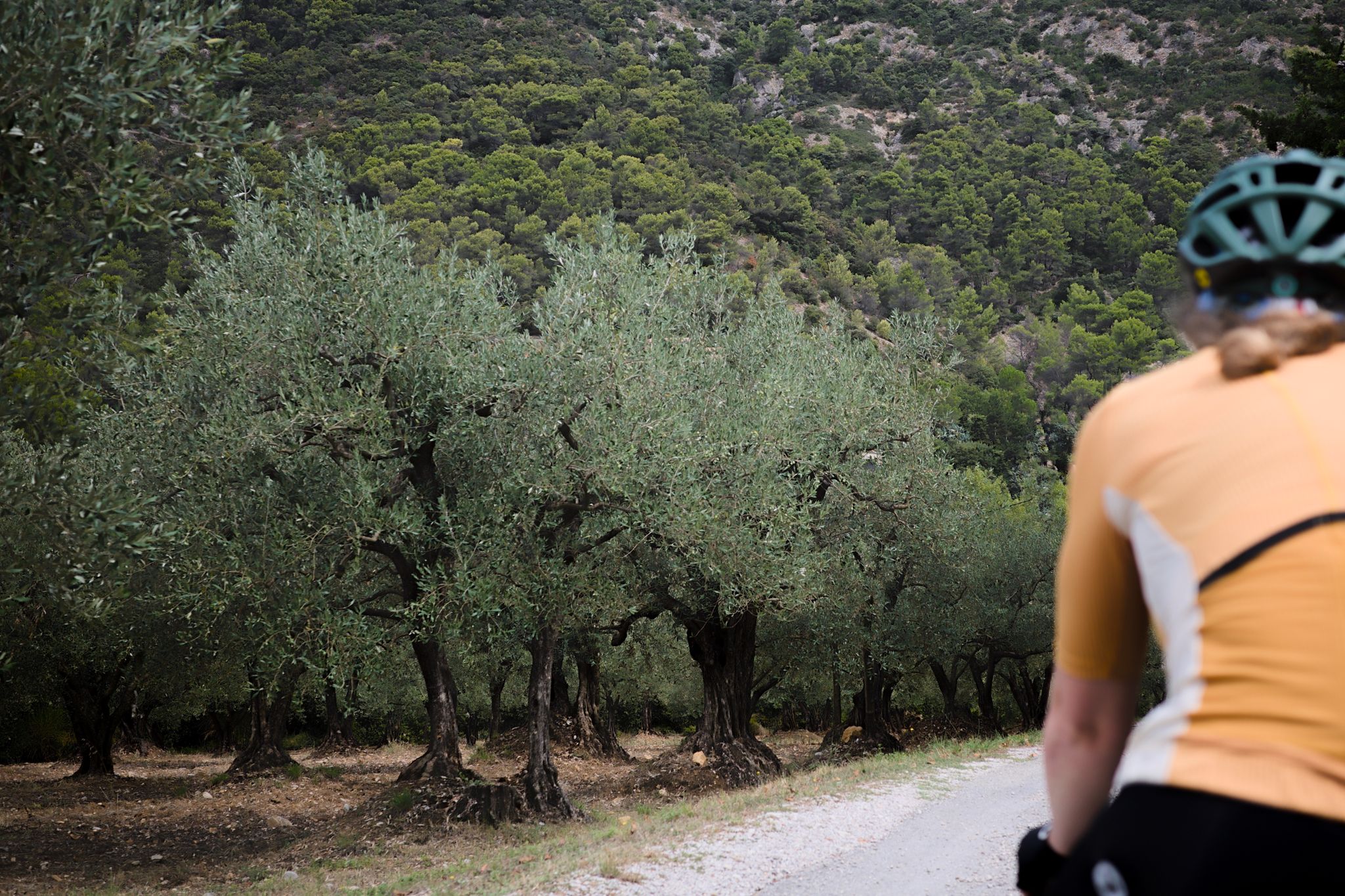 Preview image for Nyons and La Route de l’Olivier.