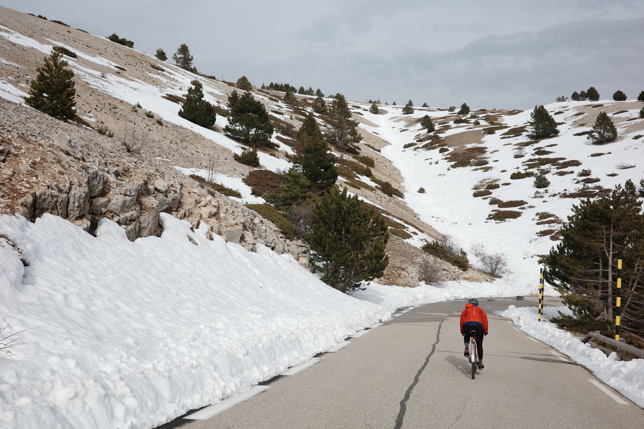 Preview image for Not today geant.