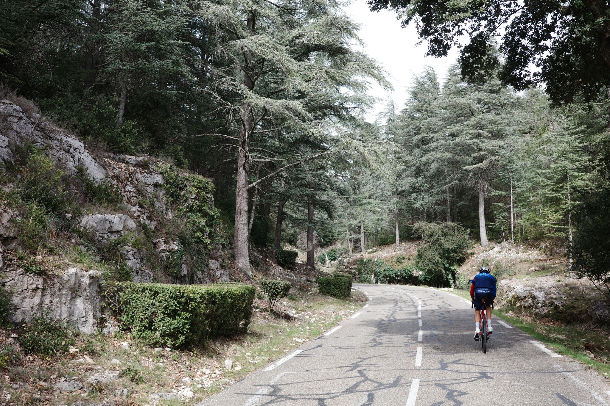 Full size image for Not today geant.