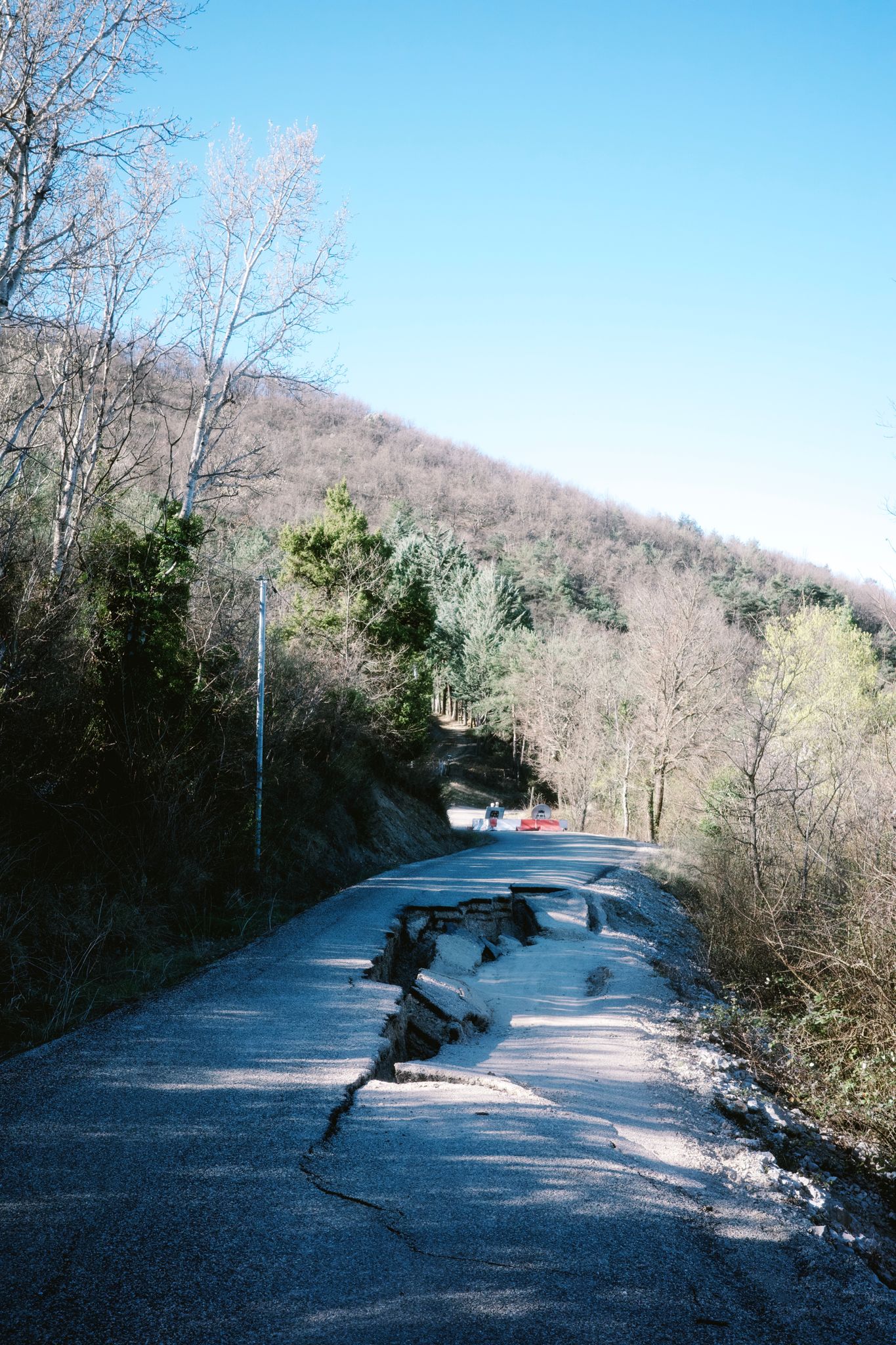 Preview image for Race the wind north.