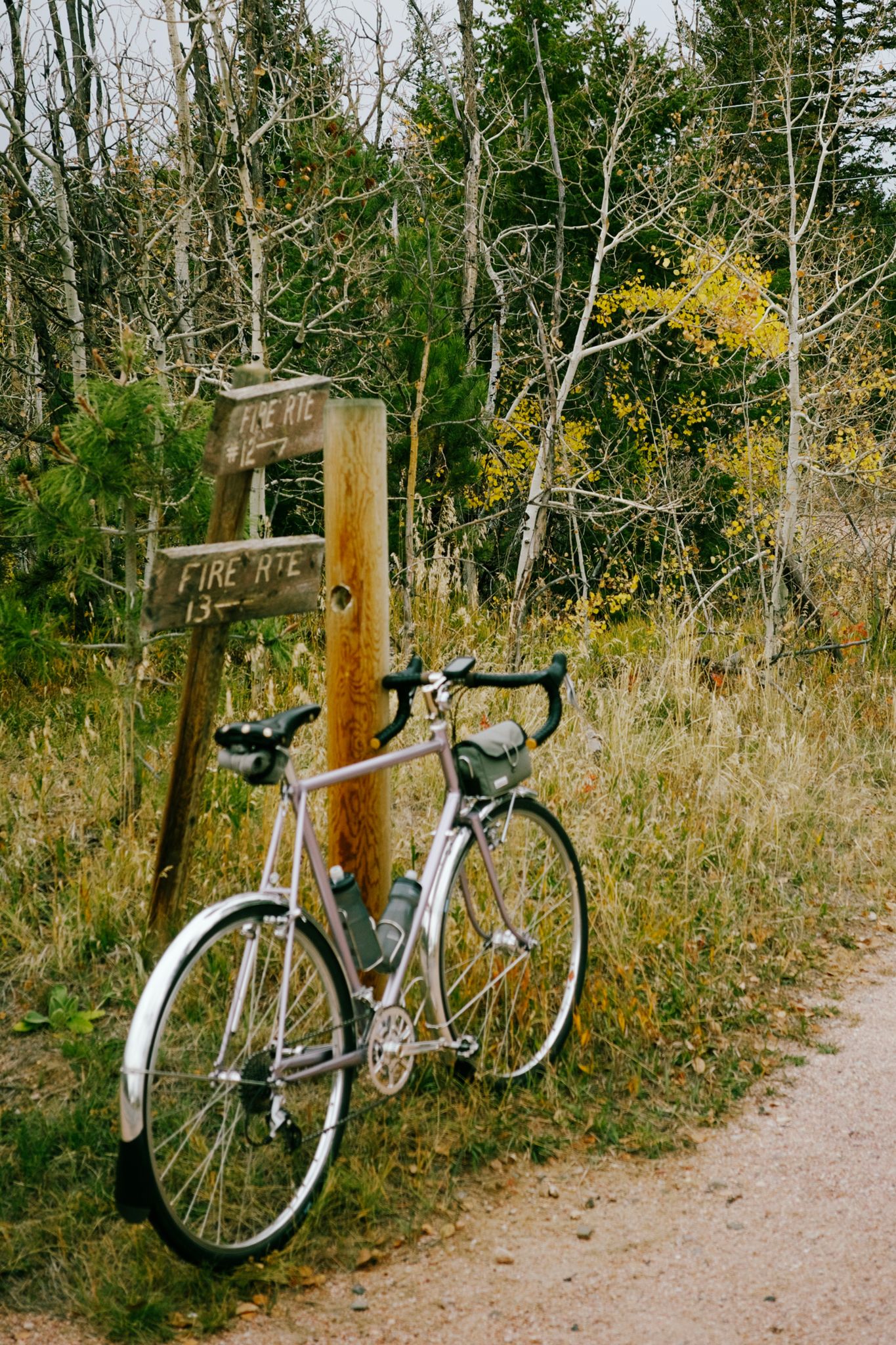 Coffeeneuring & Fall in Fort Collins