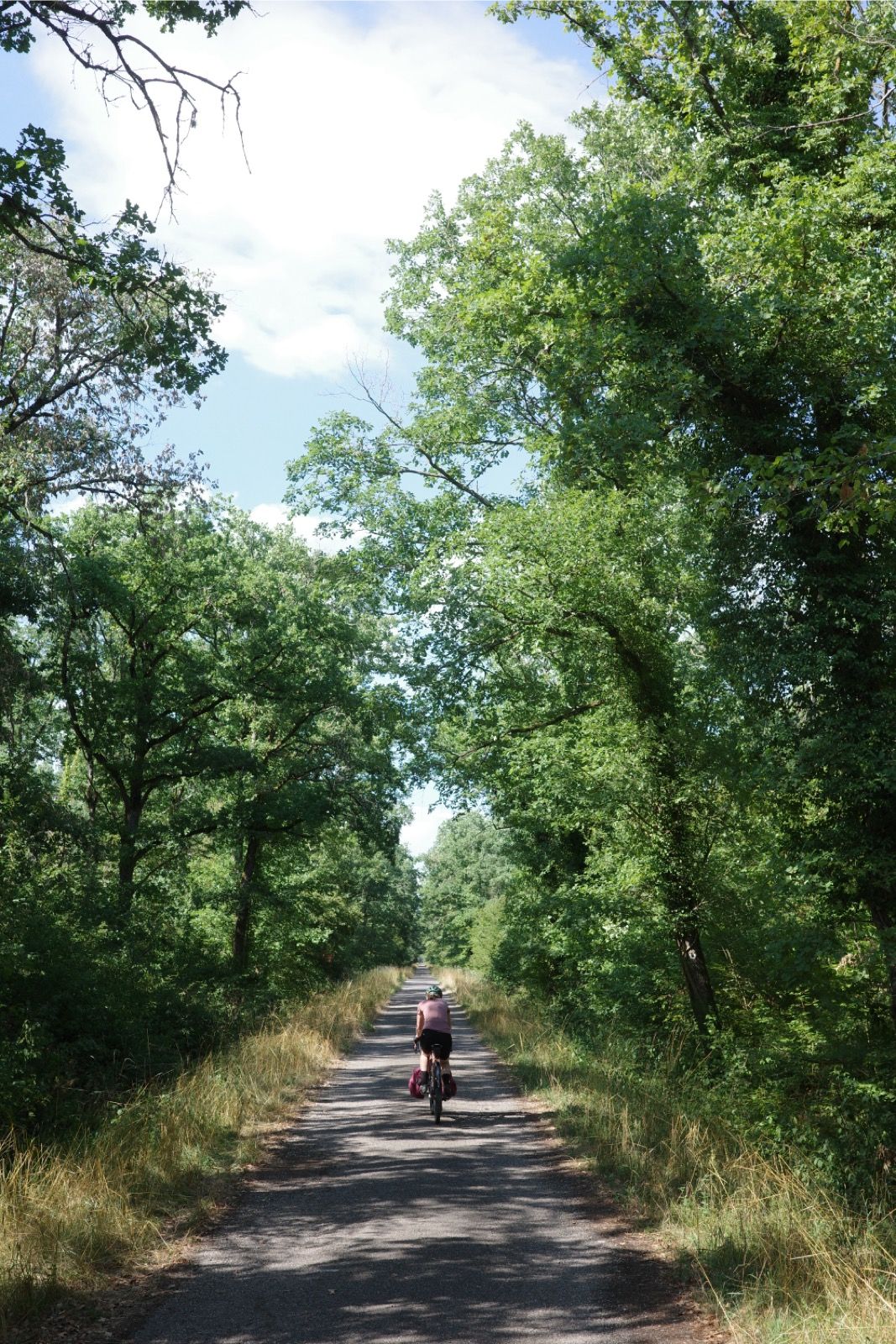 Preview image for Mulhouse & the Tour de France