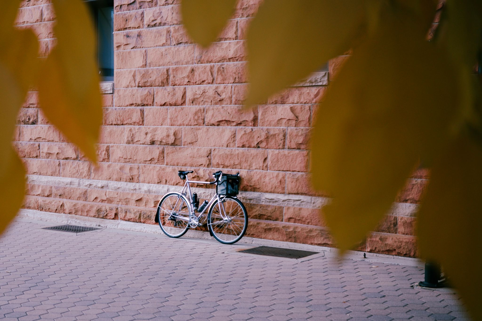 Preview image for Coffeeneuring & Fall in Fort Collins