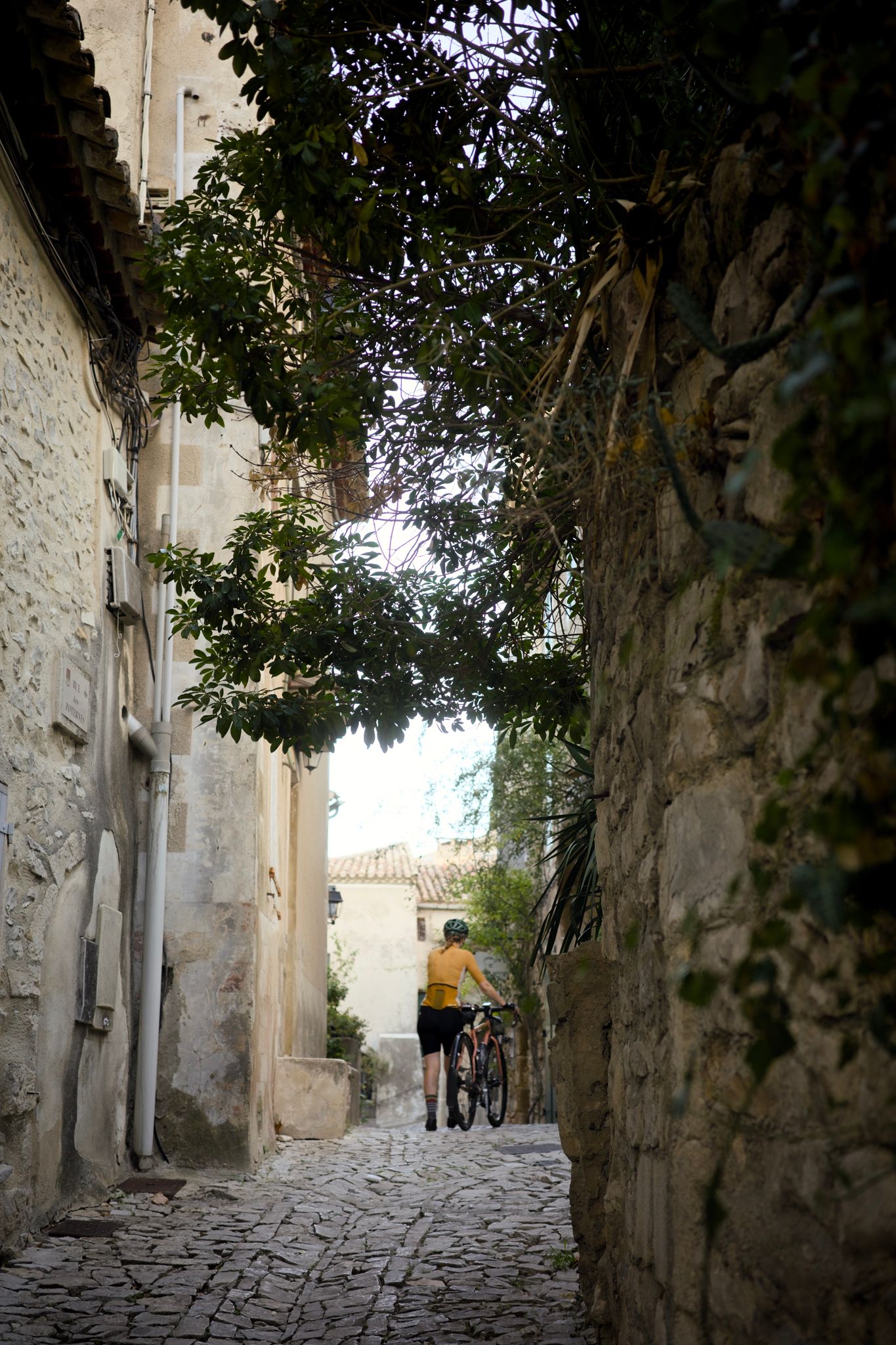 Preview image for Séguret & Haut Vaison