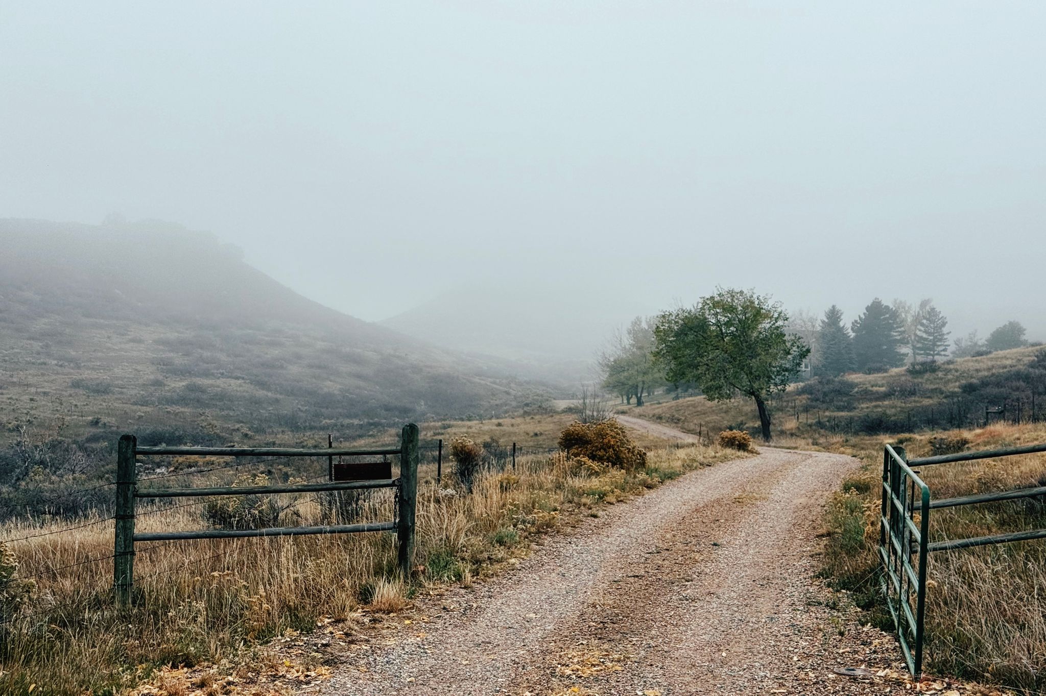 The inversion