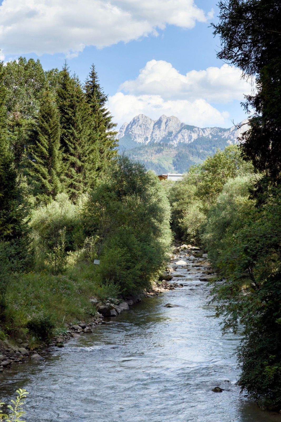 Preview image for Italian Tyrol.