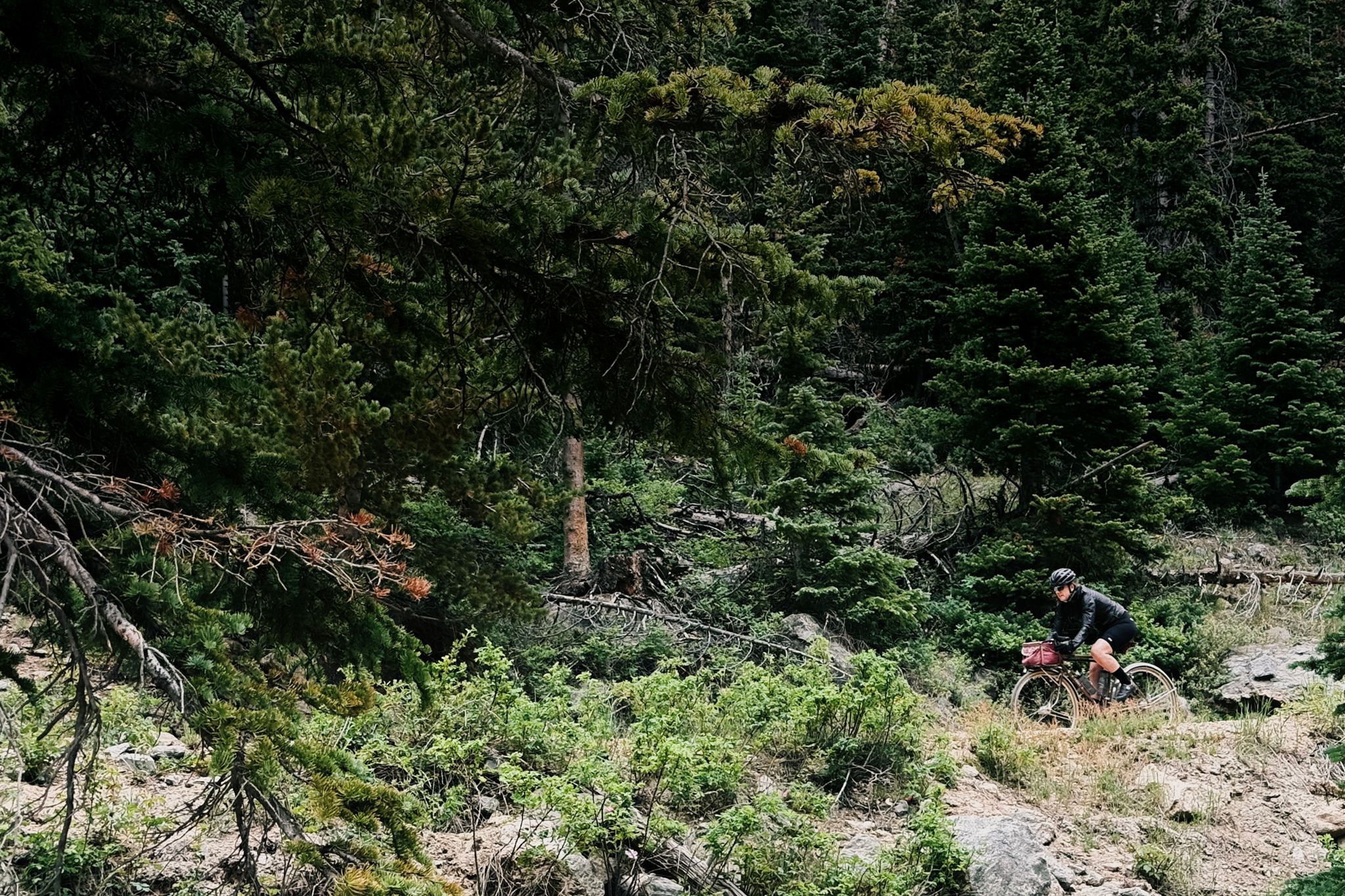 Preview image for Mountains and marmots and elk.