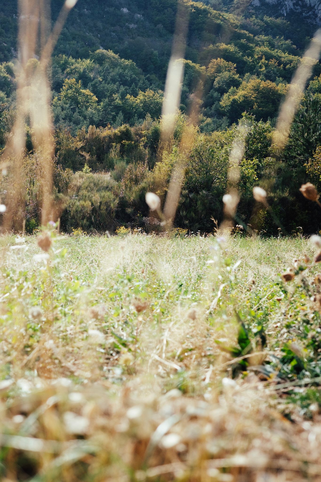 Preview image for Col de la Machine
