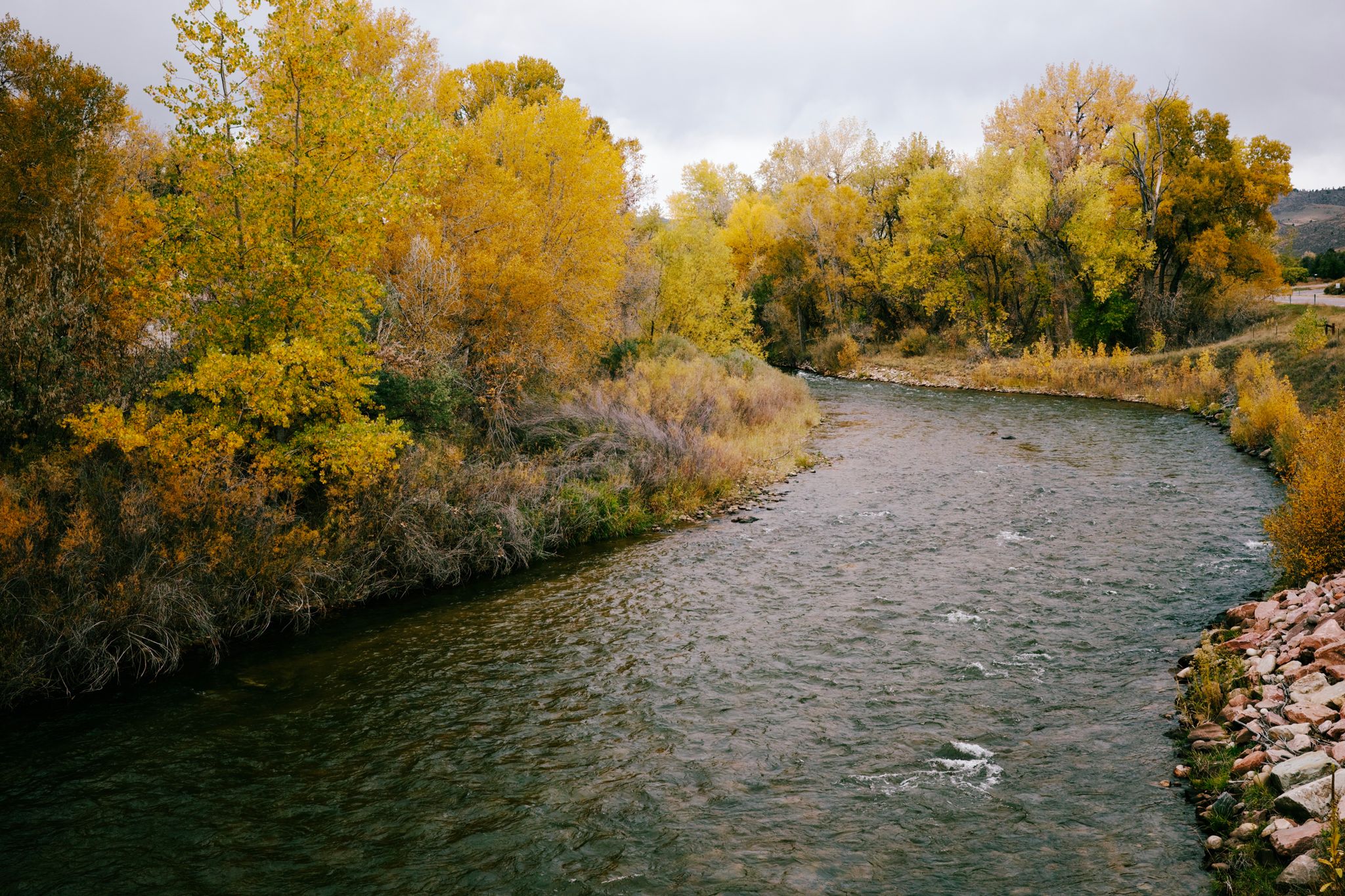Preview image for Coffeeneuring & Fall in Fort Collins
