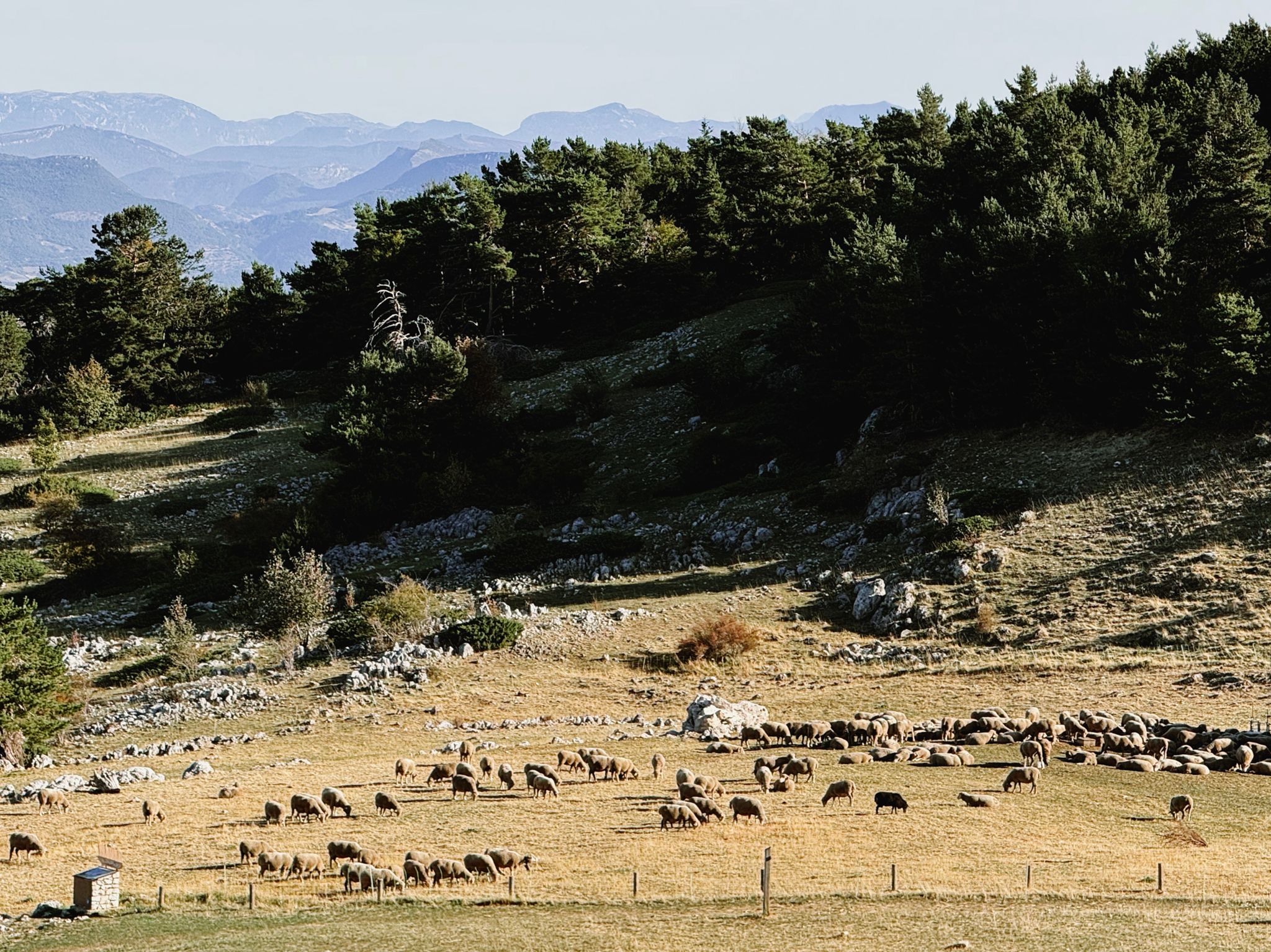 Preview image for Ventoux, Malaucene