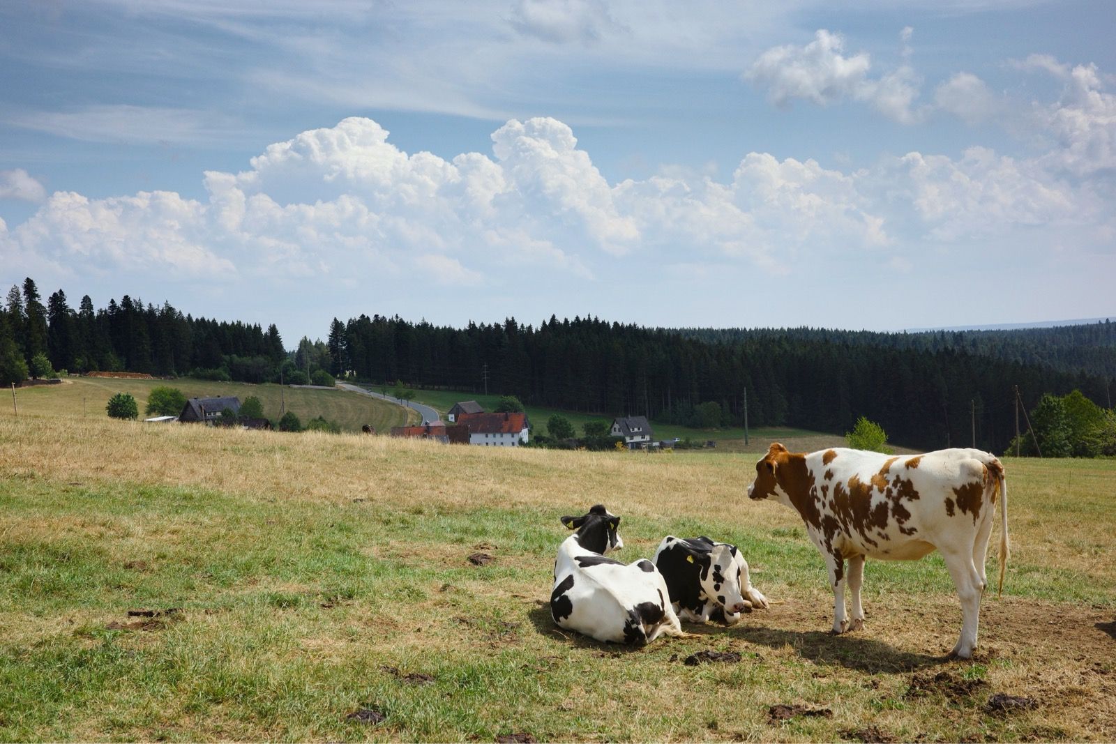 Preview image for Halfway across Baden-Württemberg