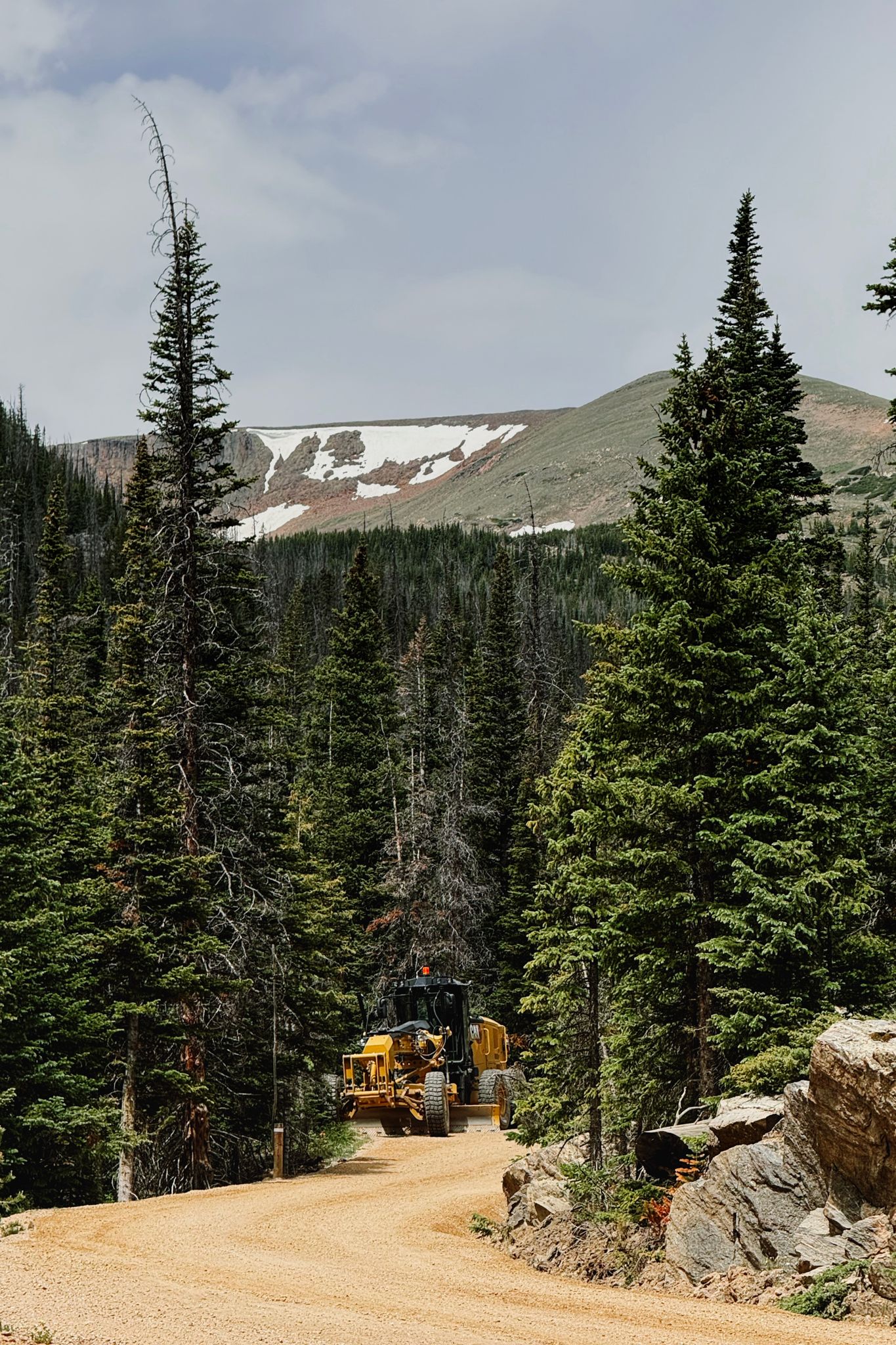Preview image for Mountains and marmots and elk.