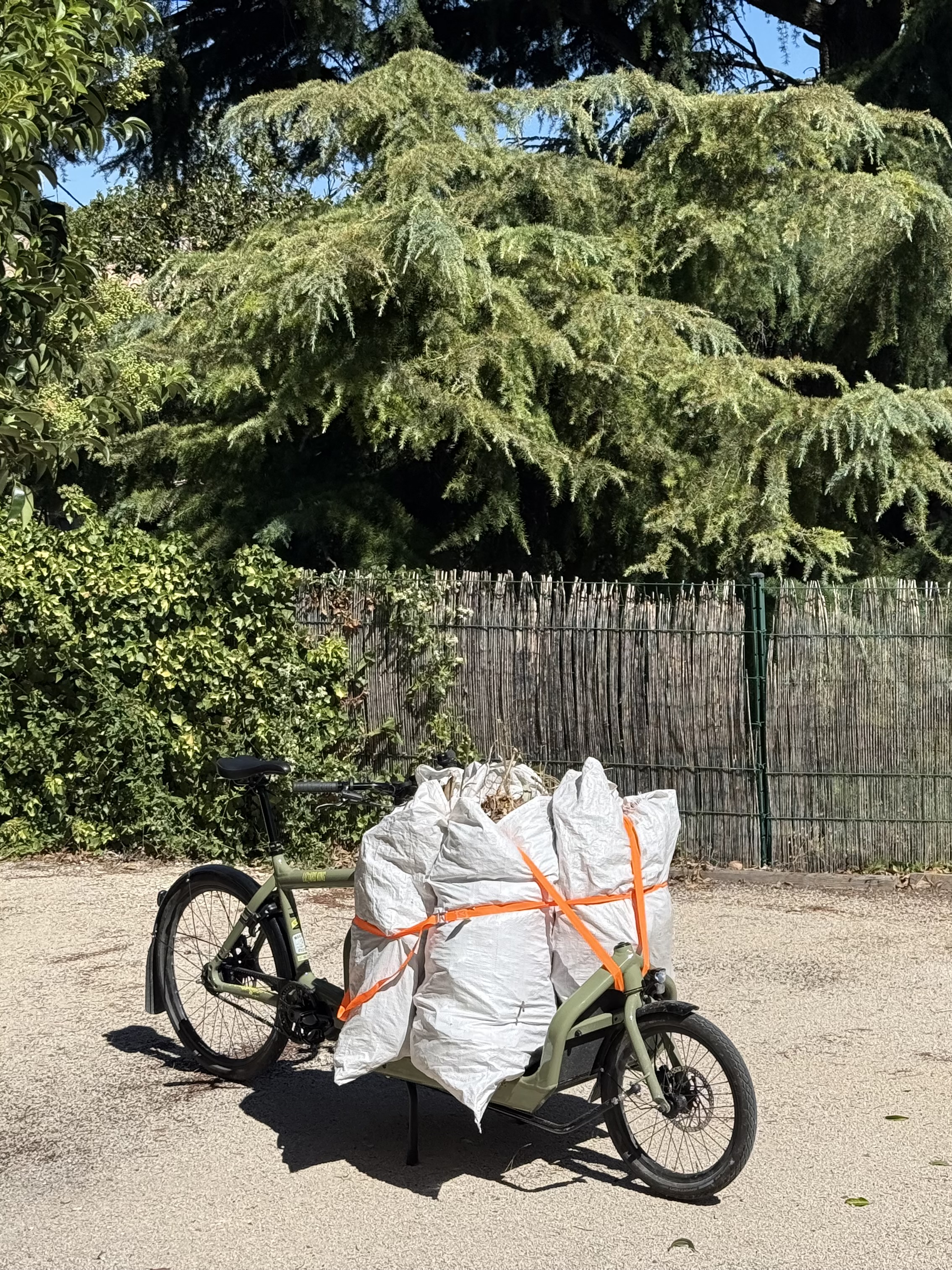 Dropping off yard waste