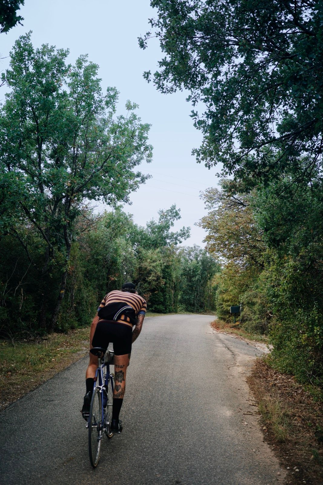 Preview image for Cezanne Cyclo Classic.