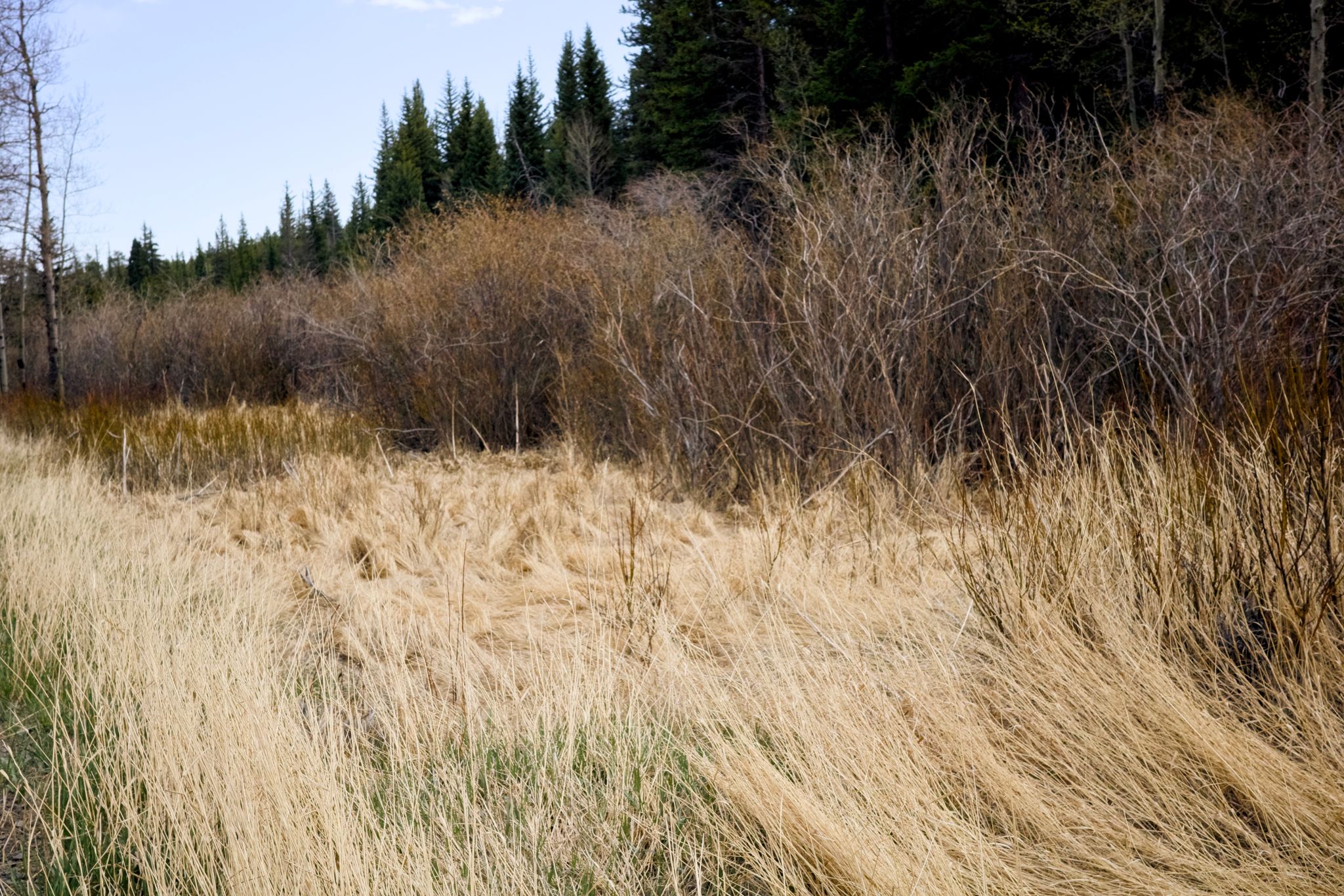 Full size image for Rist - Pennock - Poudre