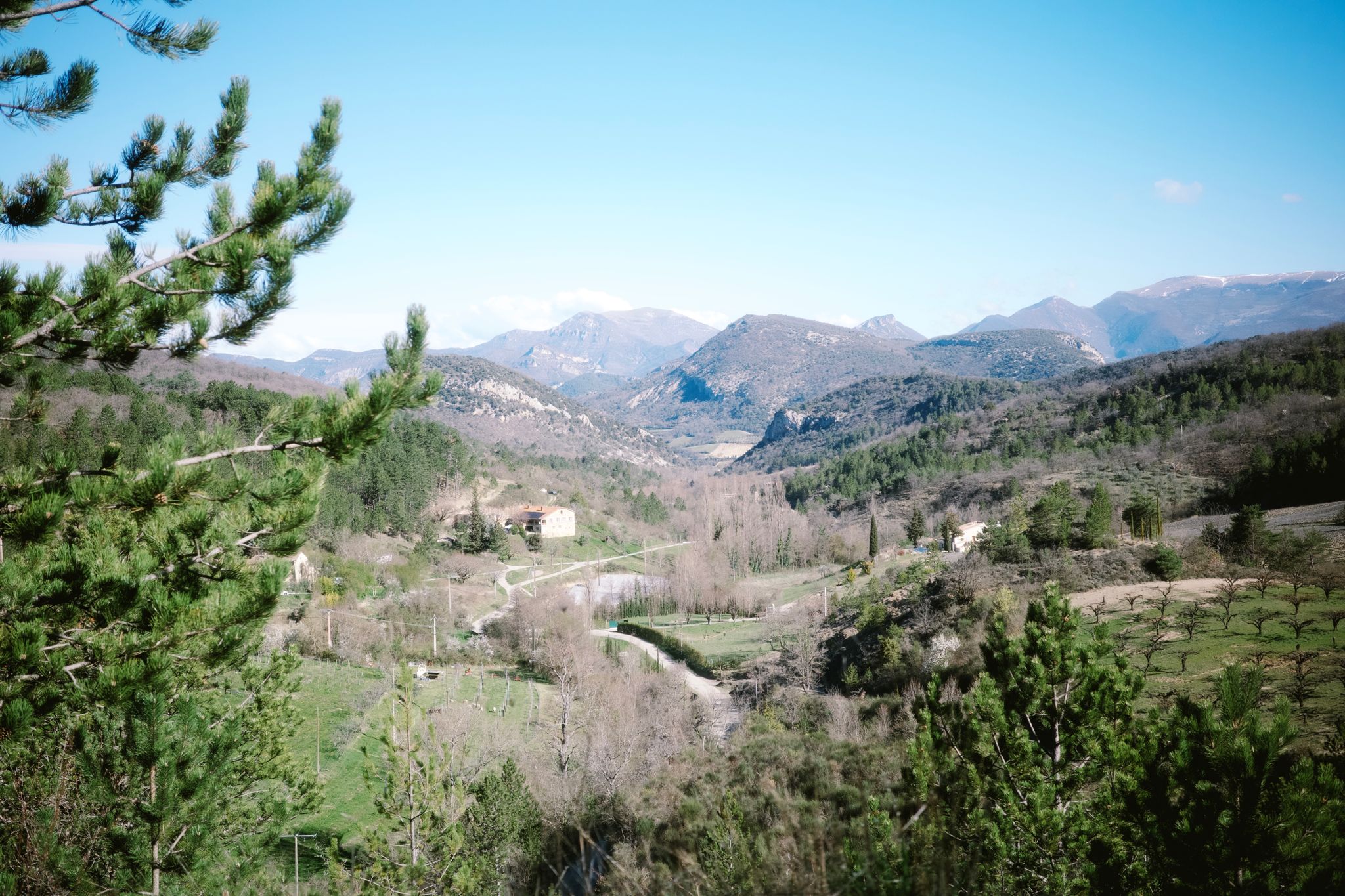 Preview image for Race the wind north.