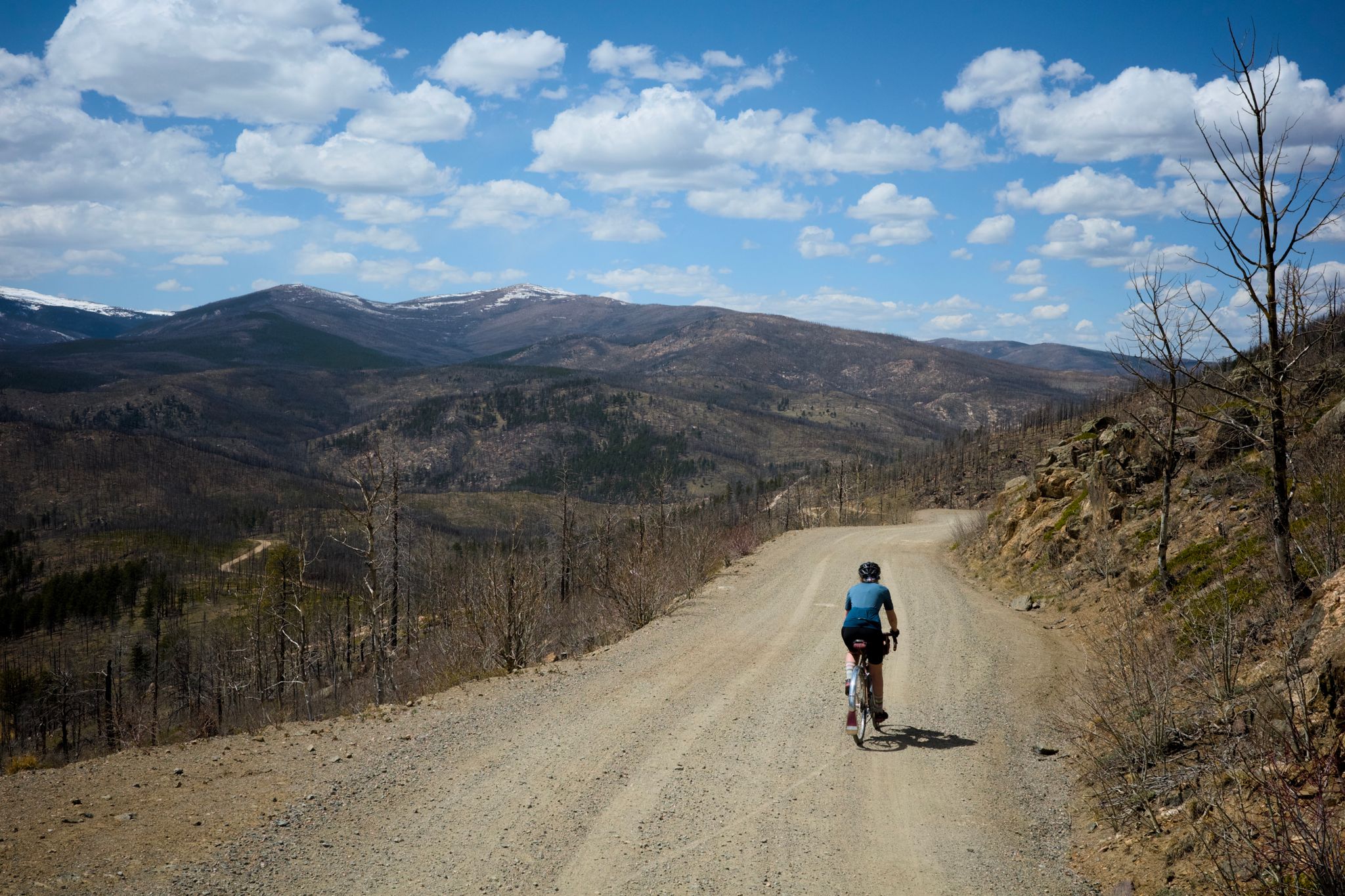 Preview image for Rist - Pennock - Poudre