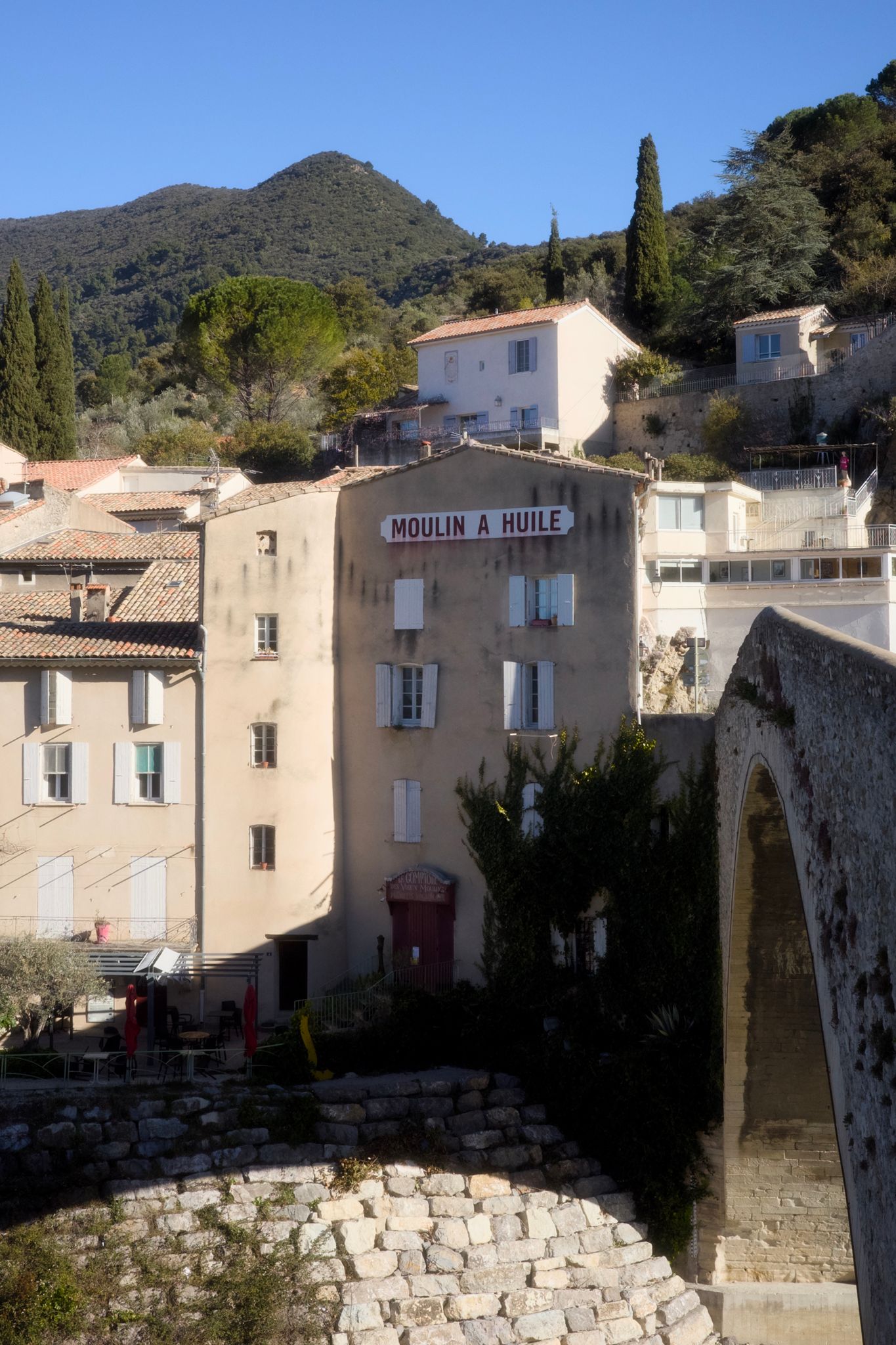 Preview image for Race the wind north.