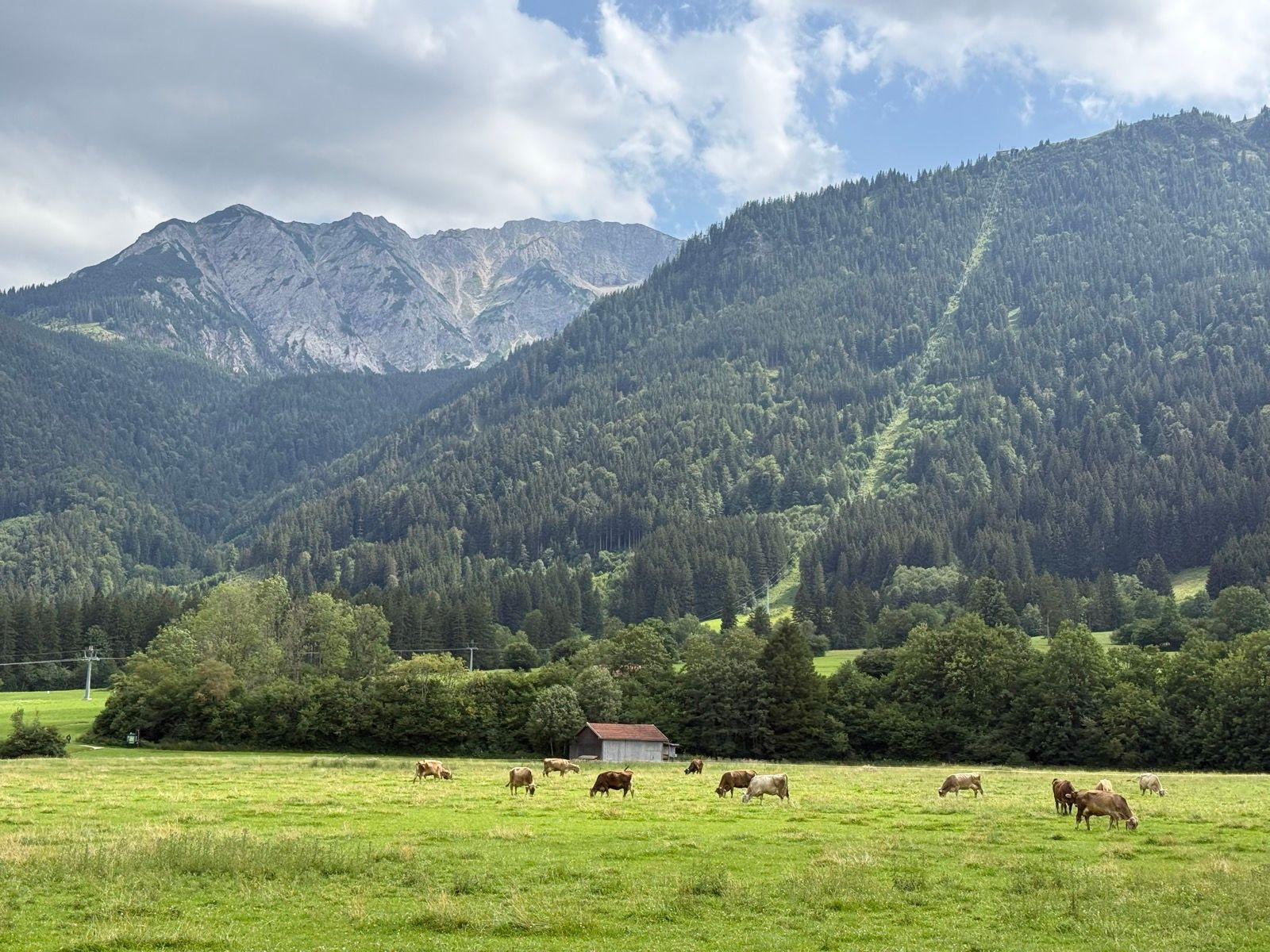 Preview image for Across Bavaria and into Austria.