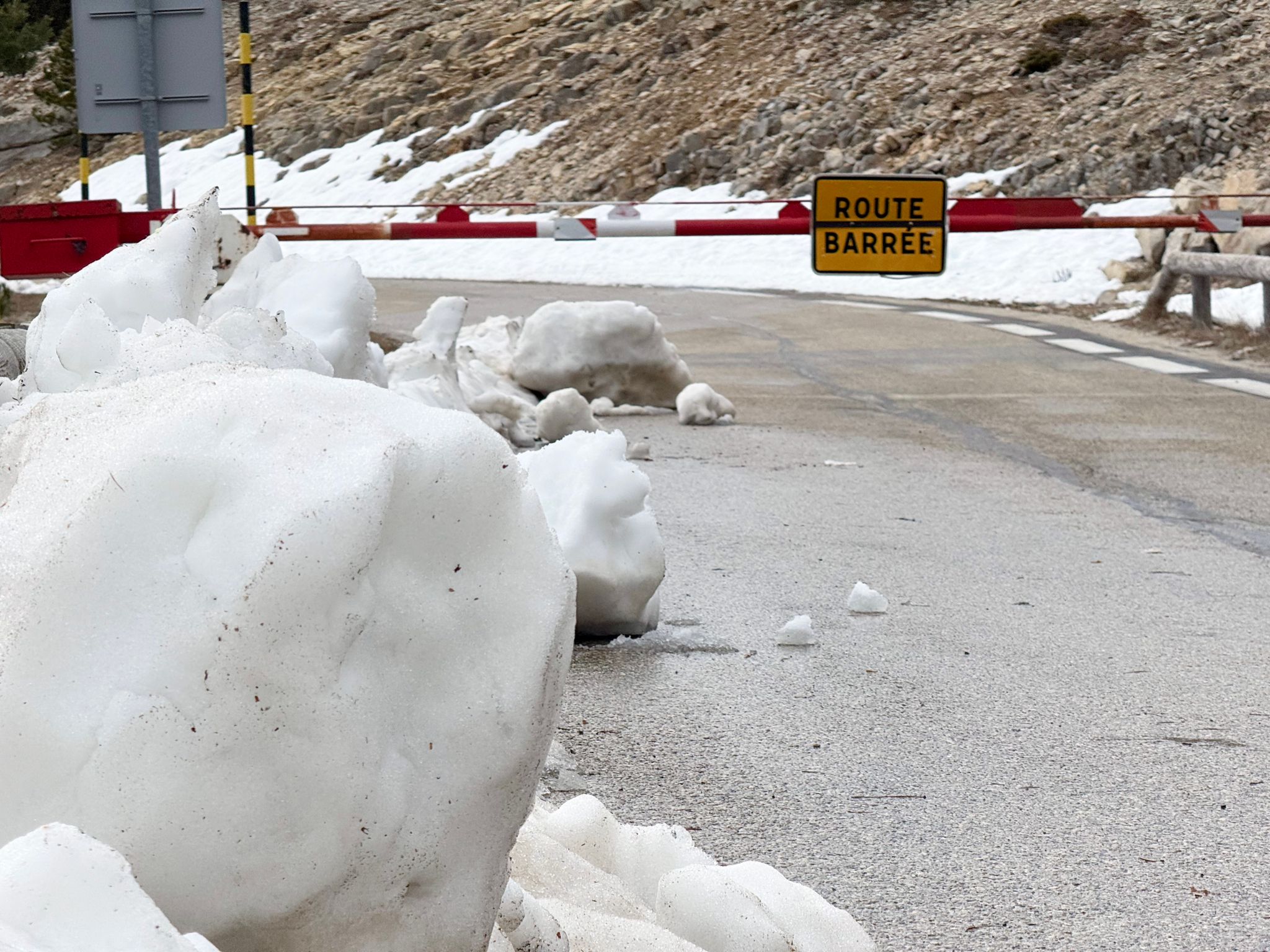 Preview image for Not today geant.