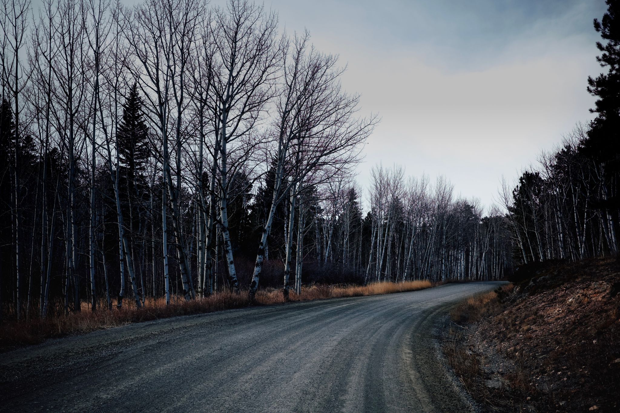 Preview image for It snowed a bit