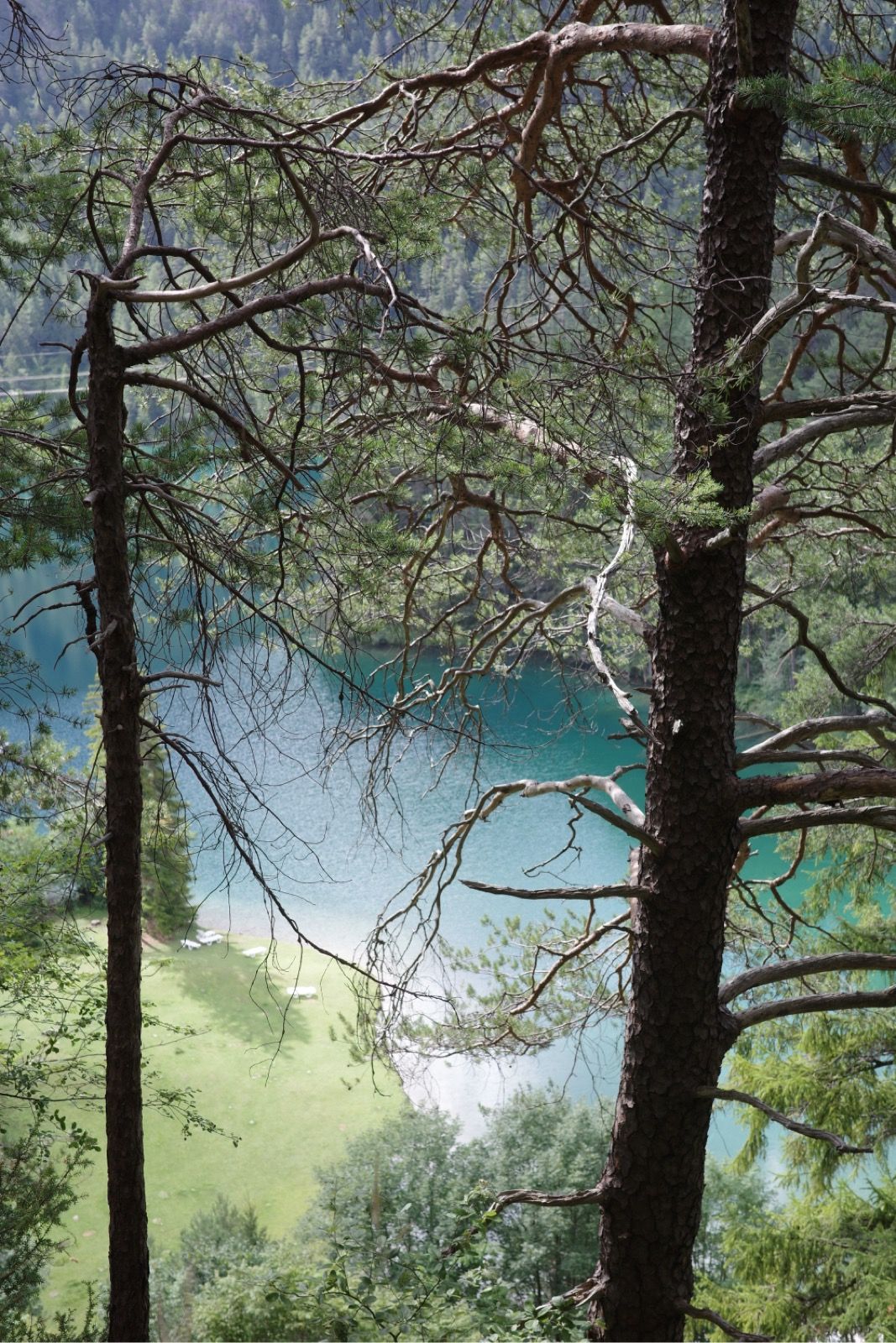 Preview image for Austria, Alps, Italy