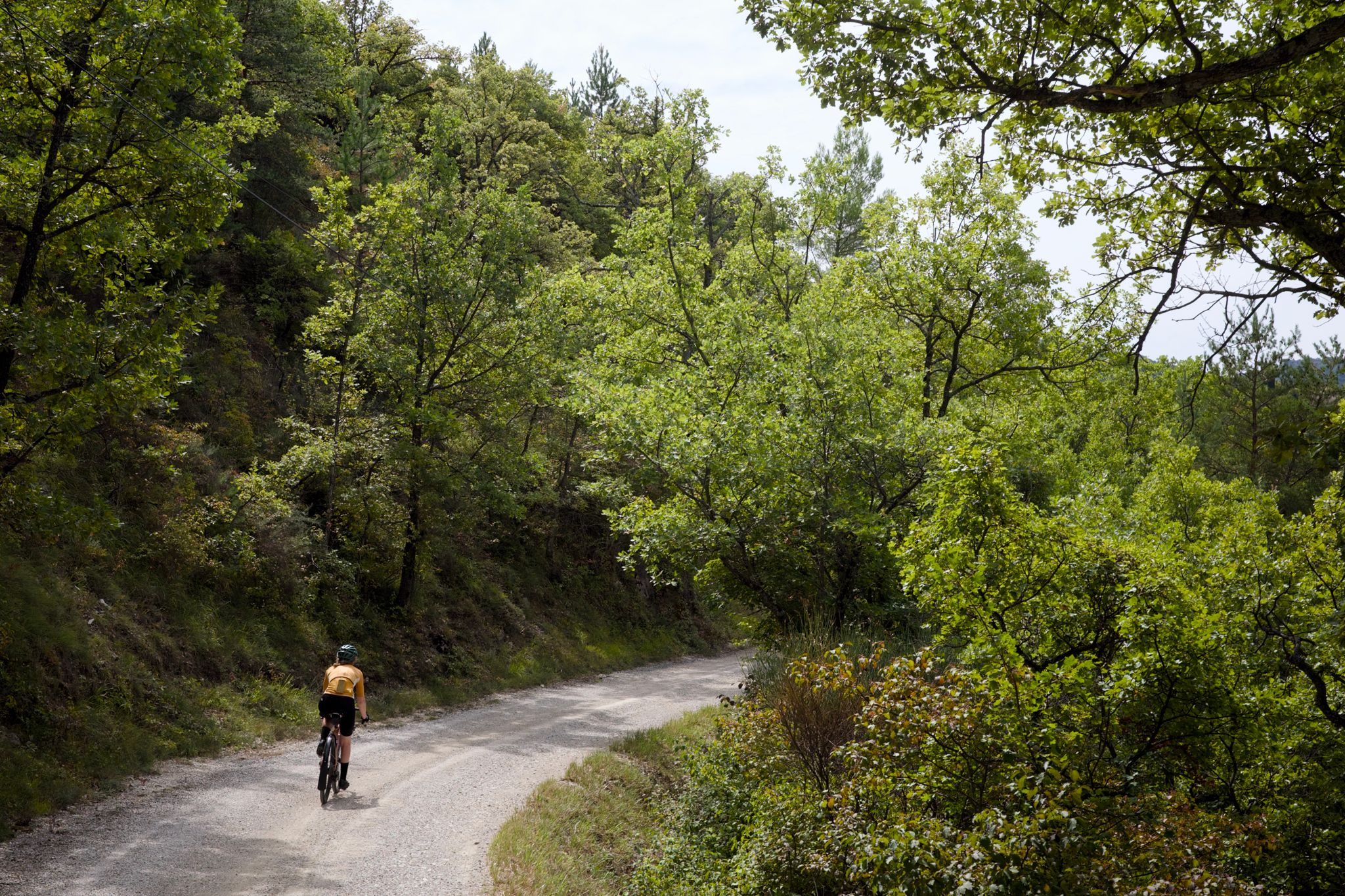 Preview image for Nyons and La Route de l’Olivier.