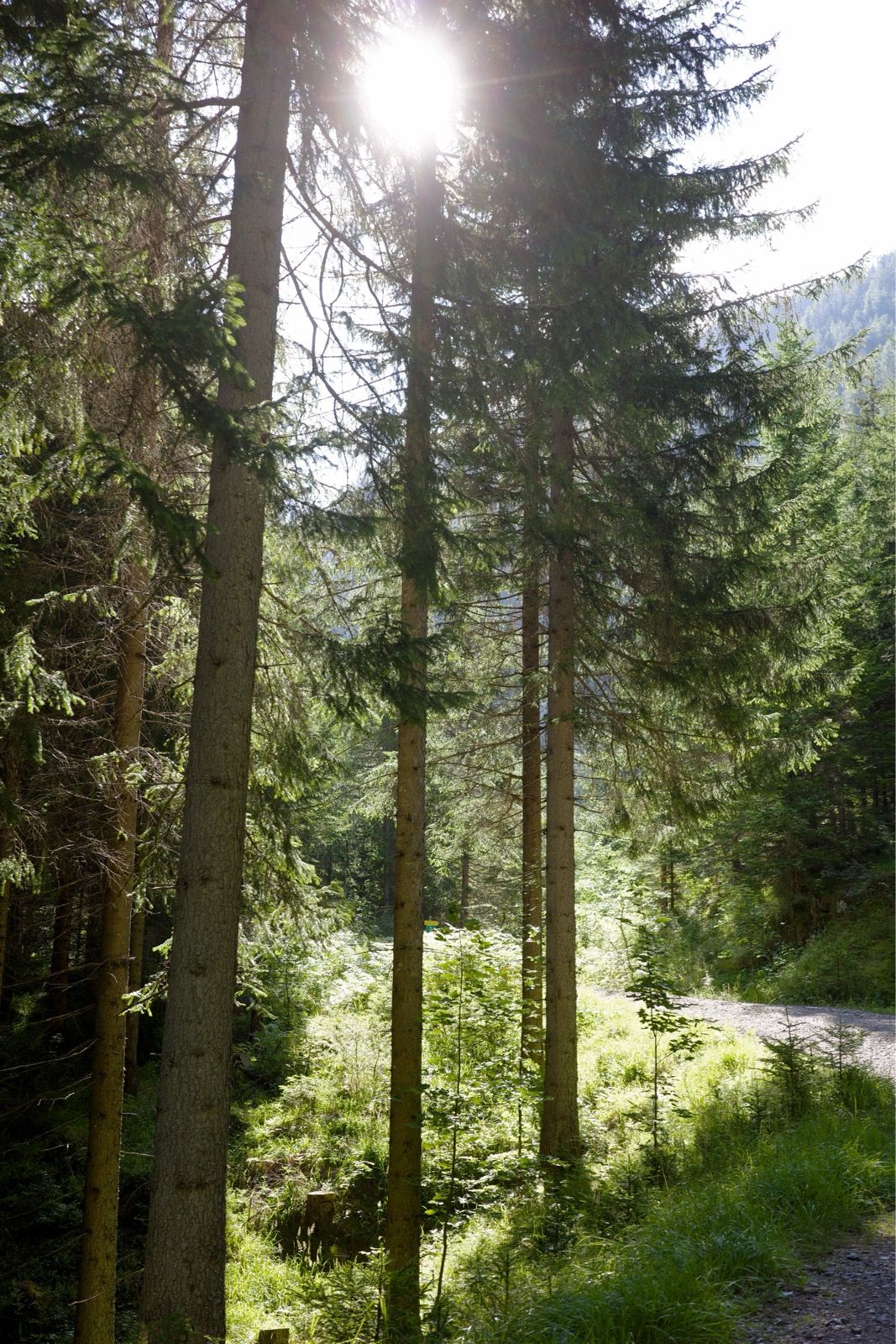 Preview image for Austria, Alps, Italy