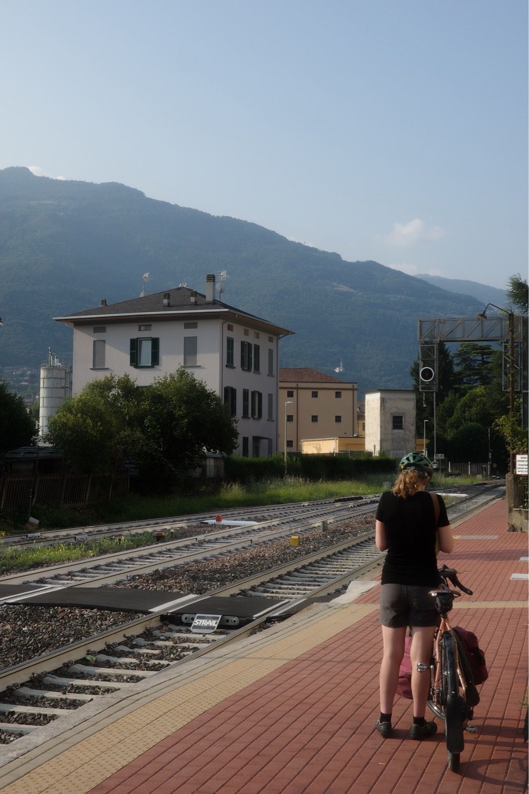 Preview image for No train? Train? No train. Train! Train?