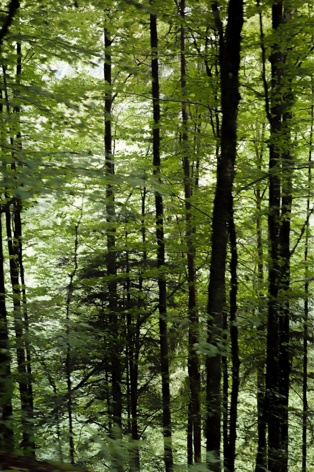 Preview image for Halfway across Baden-Württemberg