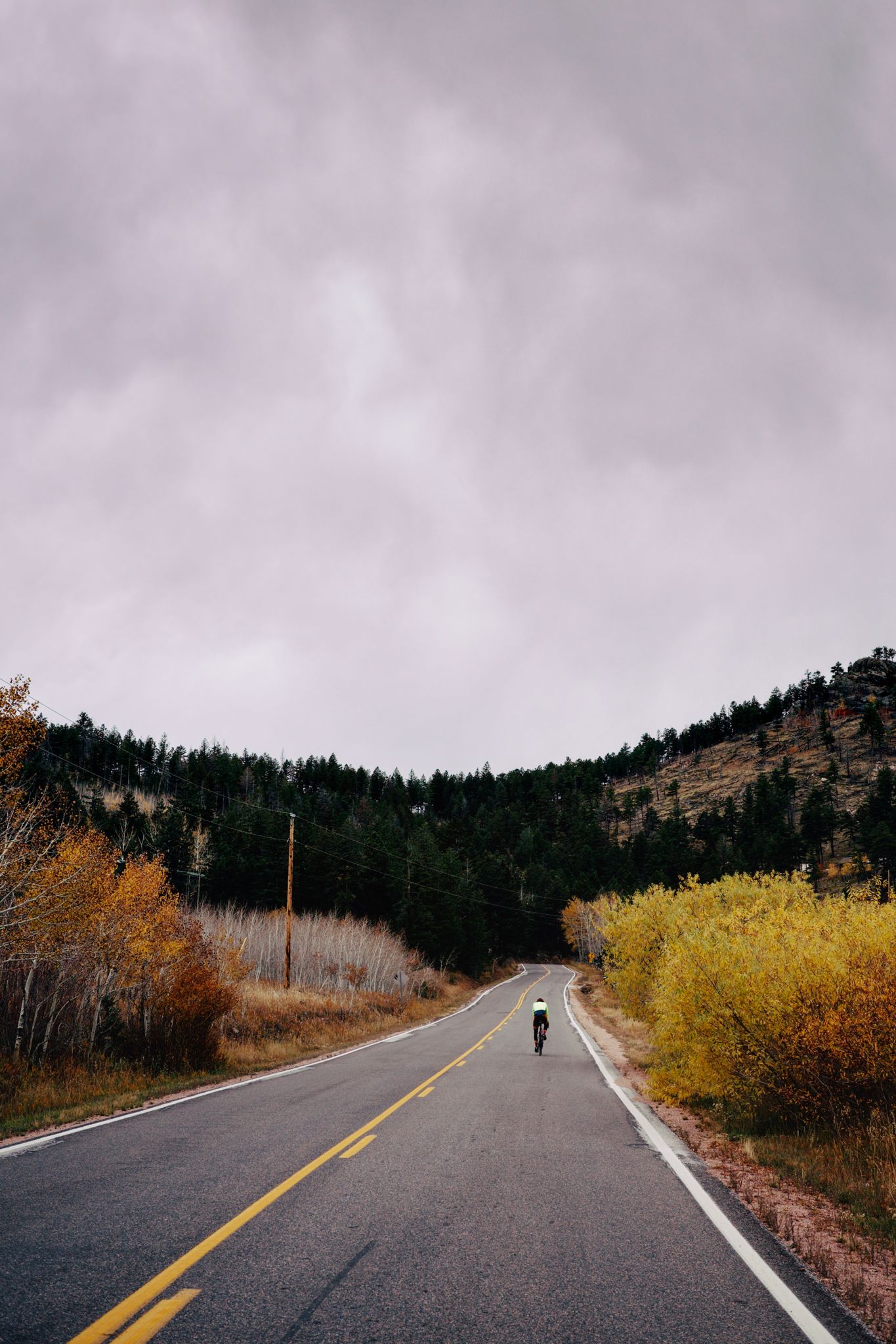 Preview image for Coffeeneuring & Fall in Fort Collins